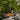 Old Town Sportsman BigWater PDL 132 kayak