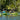Liquidlogic Saluda 12 Kayak