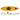 Hurricane Skimmer 106 SOT Kayak