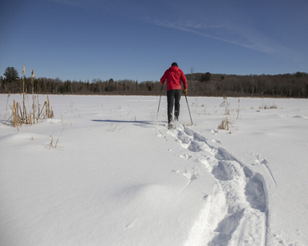 Snowshoeing
