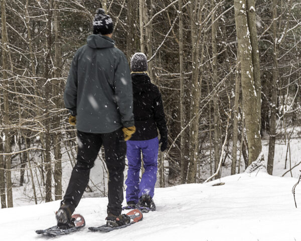 Snowshoeing