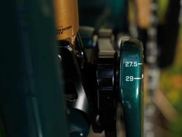 Ibis-Ripley-V5-Swamp-Monster-Green (12) (Medium)