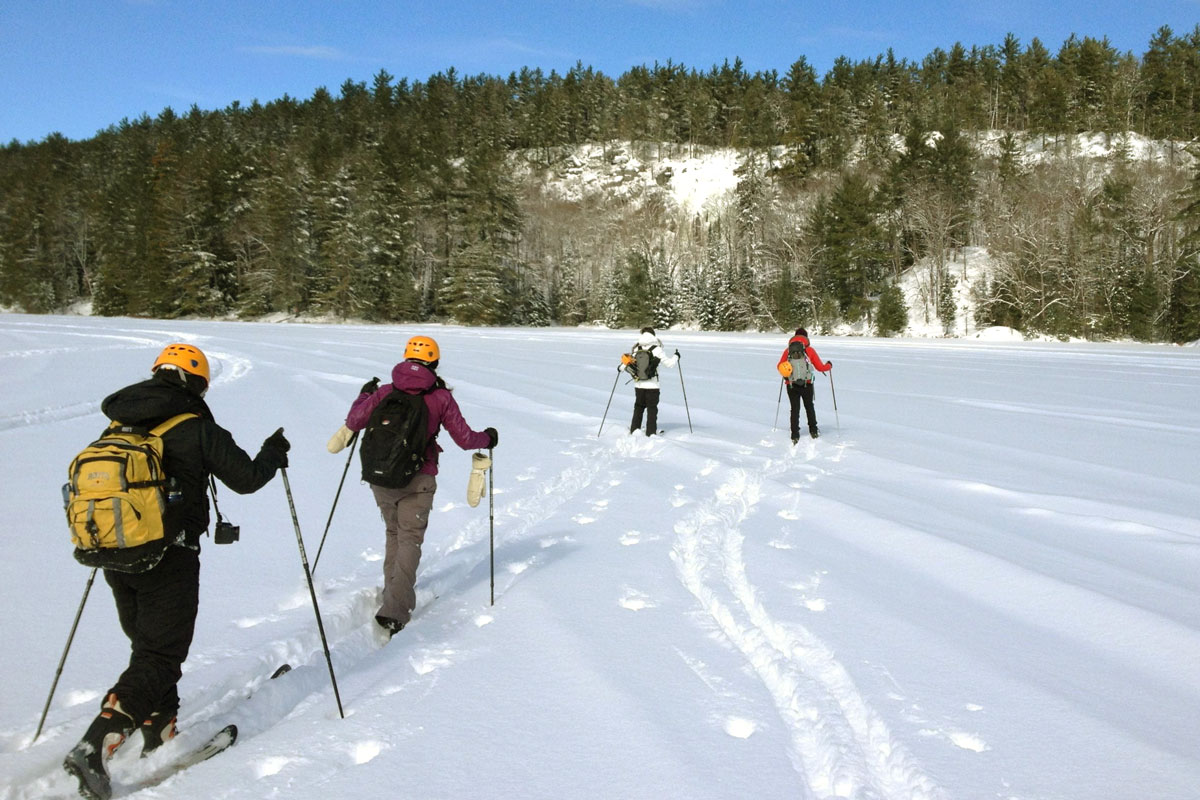 Backcountry Skiing