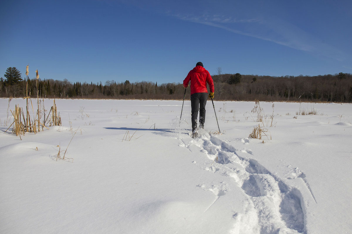 Snowshoeing