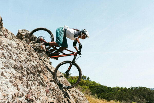 IBIS_RIPLEY_AF_Fairfax_Bcam-3